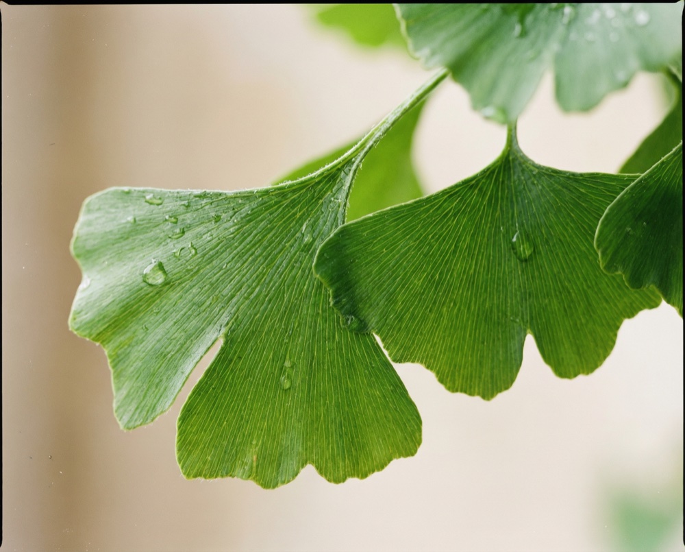 Prečo práve táto forma a dávka